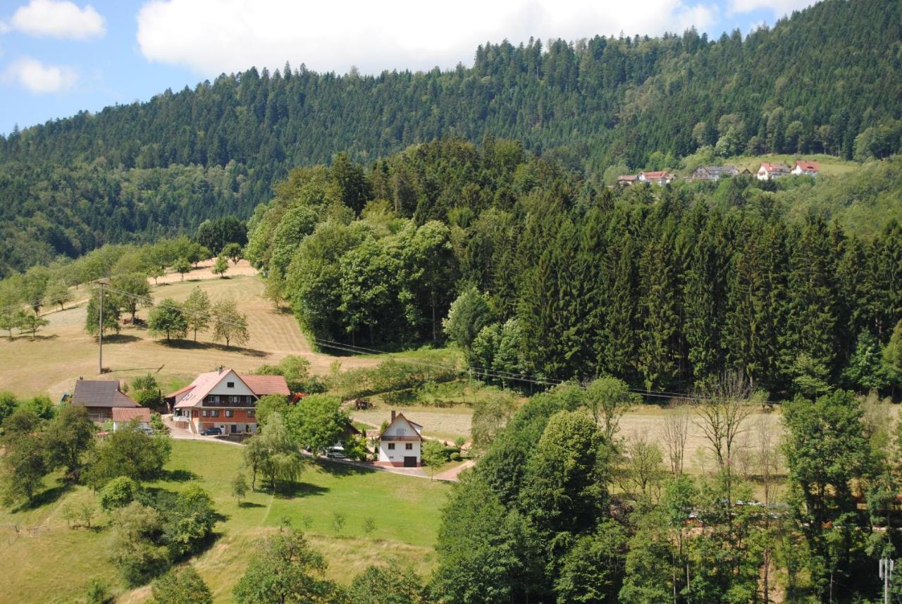 Ferienwohnung Treyer Oppenau Zewnętrze zdjęcie